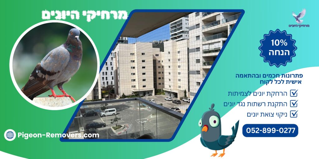 רשת נגד יונים מותקנת ומתוחה על מרפסת