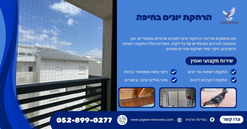 הרחקת יונים בחיפה