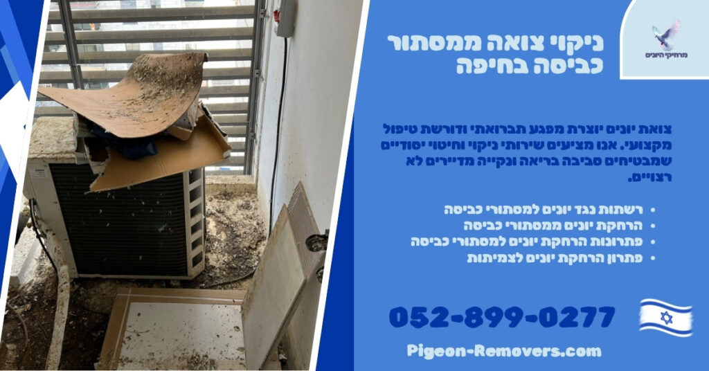 ניקוי צואה ממסתור כביסה בחיפה