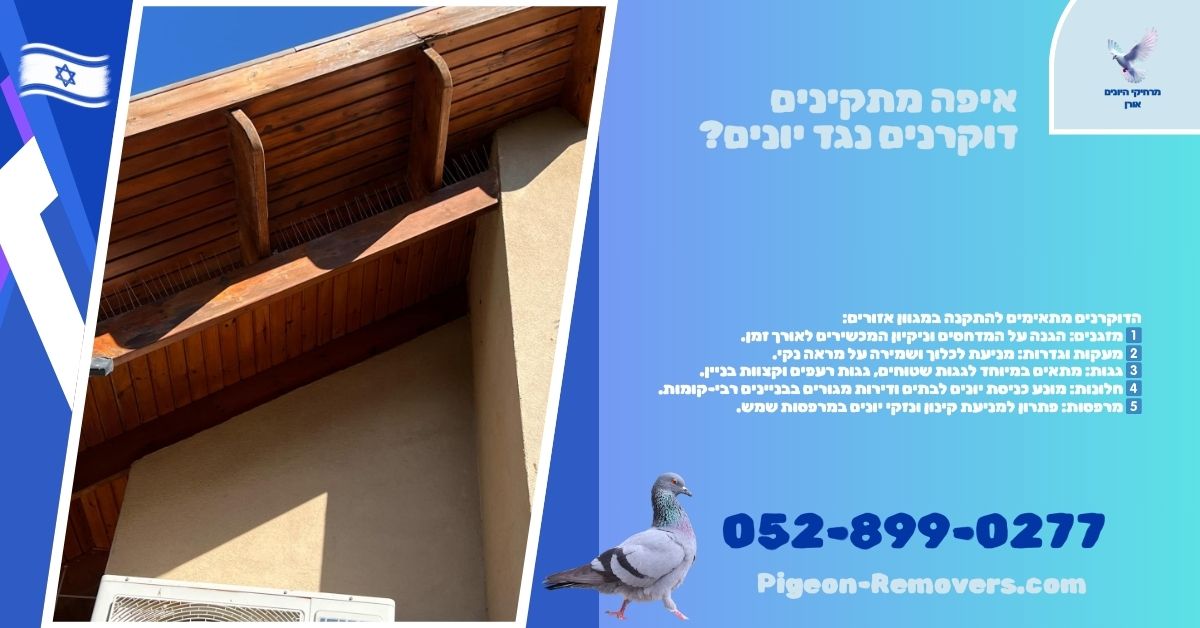 הרחקת יונים מקרניז הרחקת יונים מקרניז - דוקרנים מותקנים על קרניז בניין