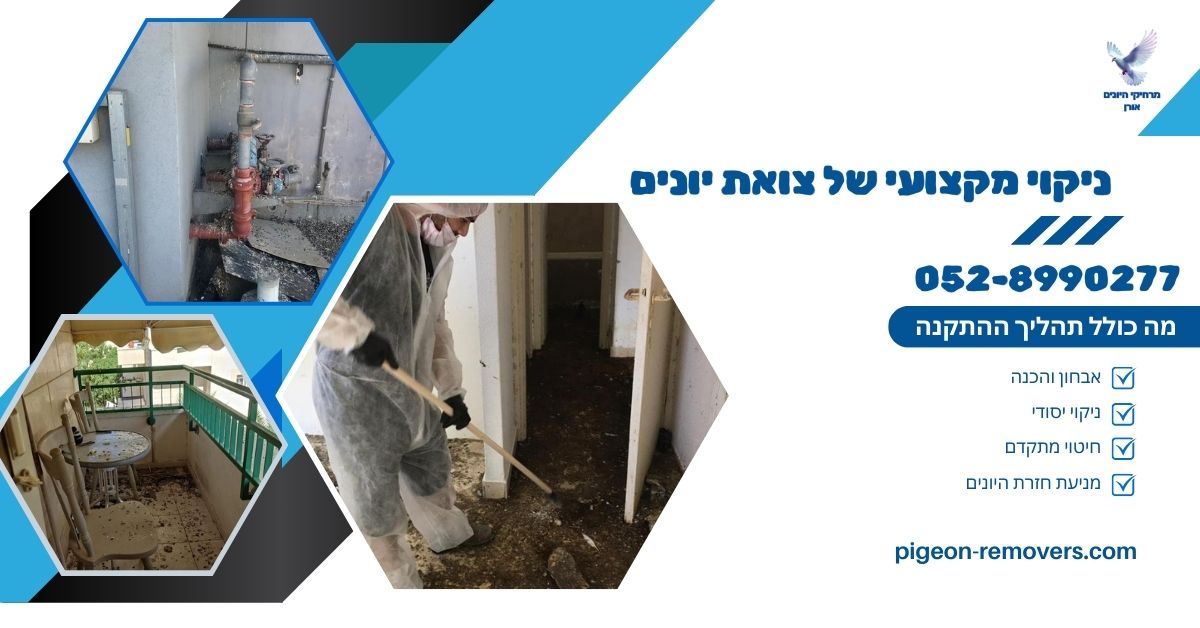 ריח רע מיונים - ניקוי מקצועי של צואת יונים