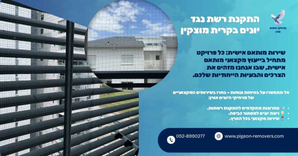 התקנת רשת נגד יונים בקרית מוצקין