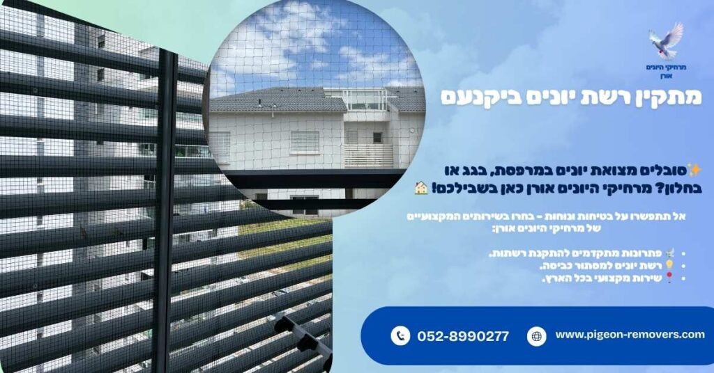 מתקין רשת יונים ביקנעם