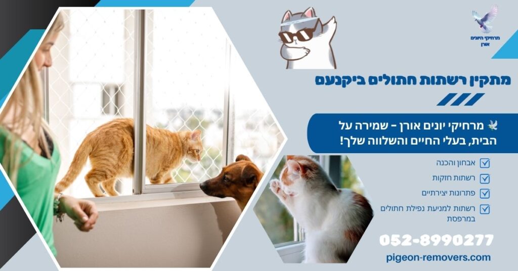 מתקין רשתות חתולים ביקנעם