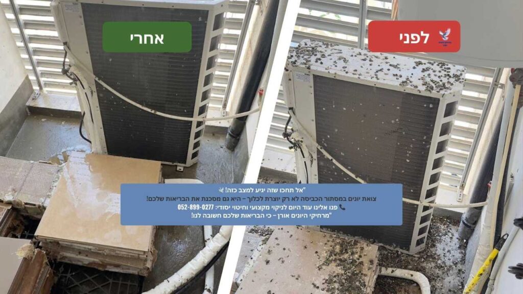 ניקוי צואת יונים במסתור כביסה ביקנעם