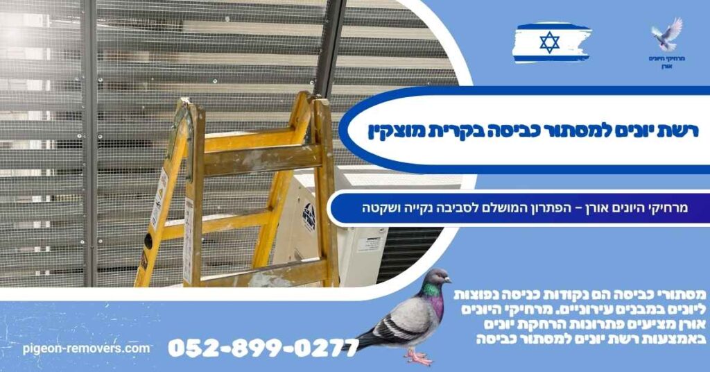 רשת יונים למסתור כביסה בקרית מוצקין
