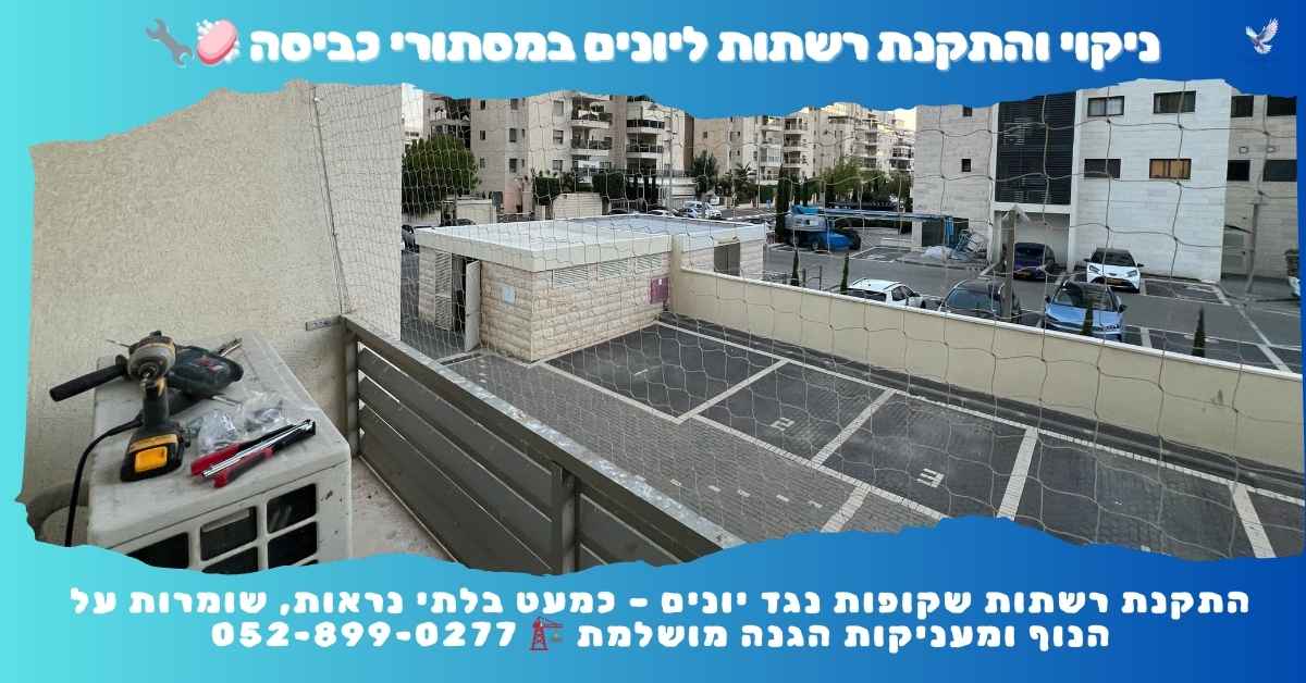 הרחקת יונים ממסתור כביסה בבת ים הרחקת יונים ממסתור כביסה בבת ים - פינוי קן, ניקוי וסגירה ברשת