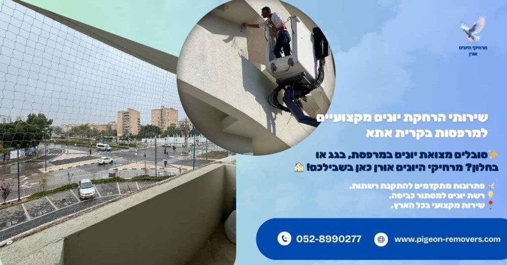 שירותי הרחקת יונים מקצועיים למרפסות בקרית אתא