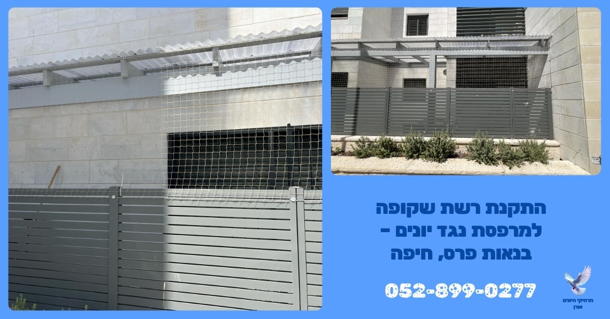התקנת רשת שקופה למרפסת נגד יונים – בנאות פרס, חיפה