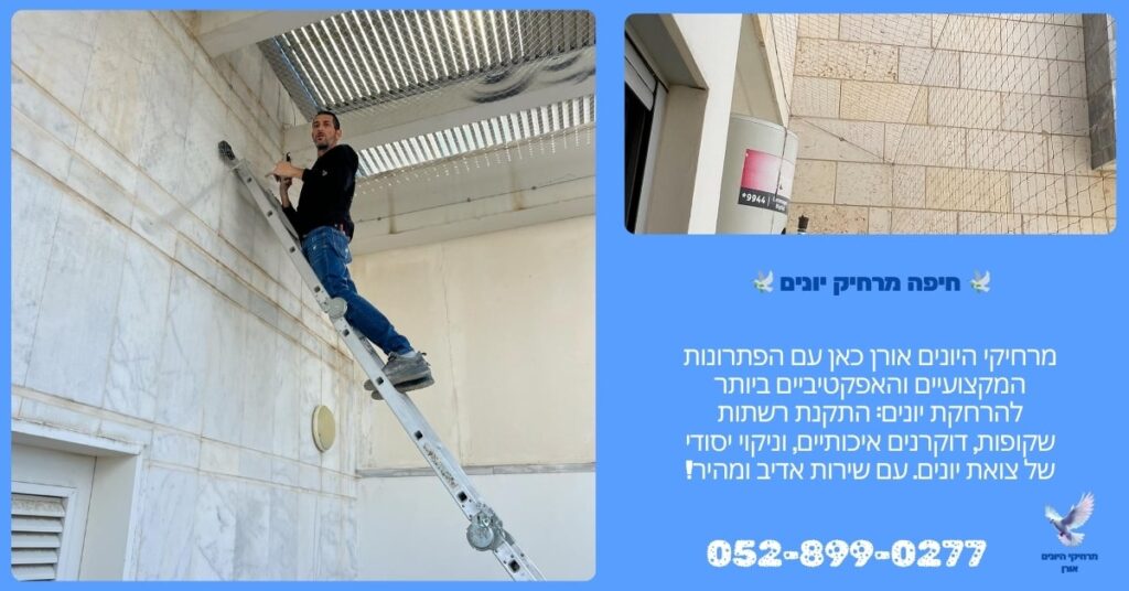 חיפה מרחיק יונים