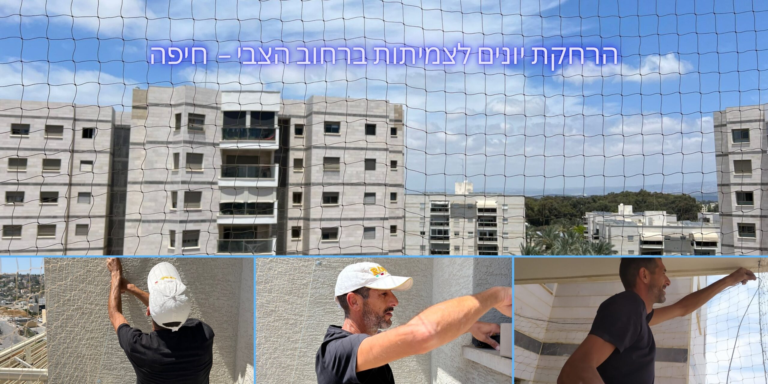 הרחקת יונים לצמיתות ברחוב הצבי – חיפה
