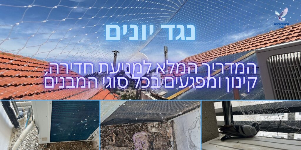נגד יונים