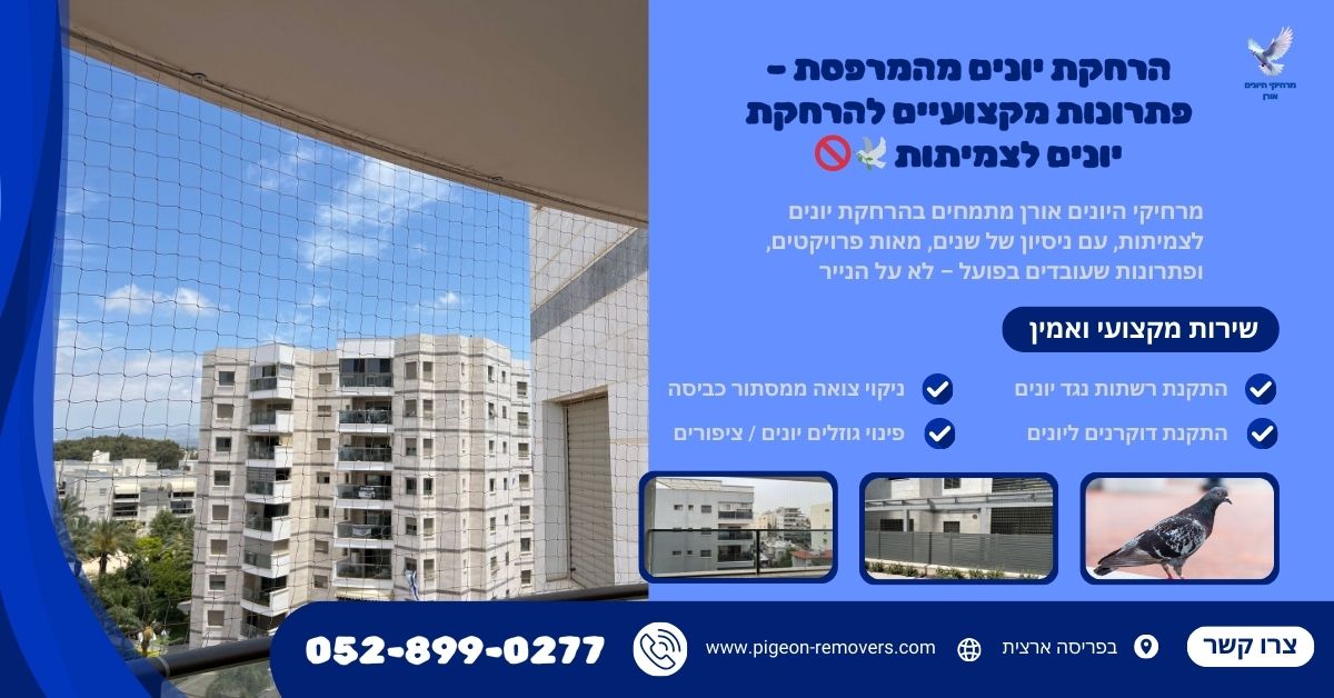 הרחקת יונים בטבריה הרחקת יונים בטבריה - התקנת רשת נגד יונים במרפסת ובחזית