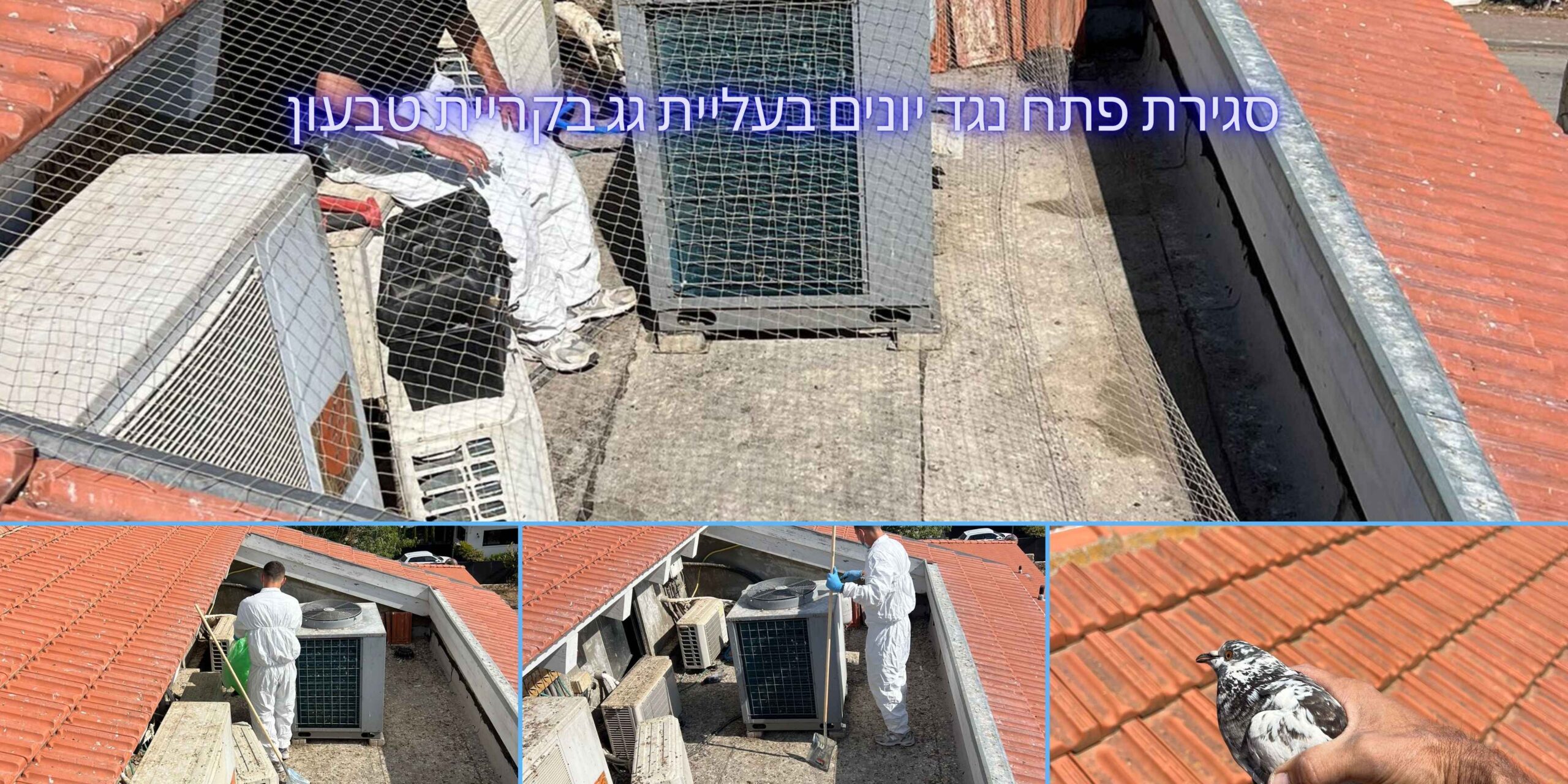 הרחקת יונים מעליית גג - סגירת פתח כניסה לחלל הגג