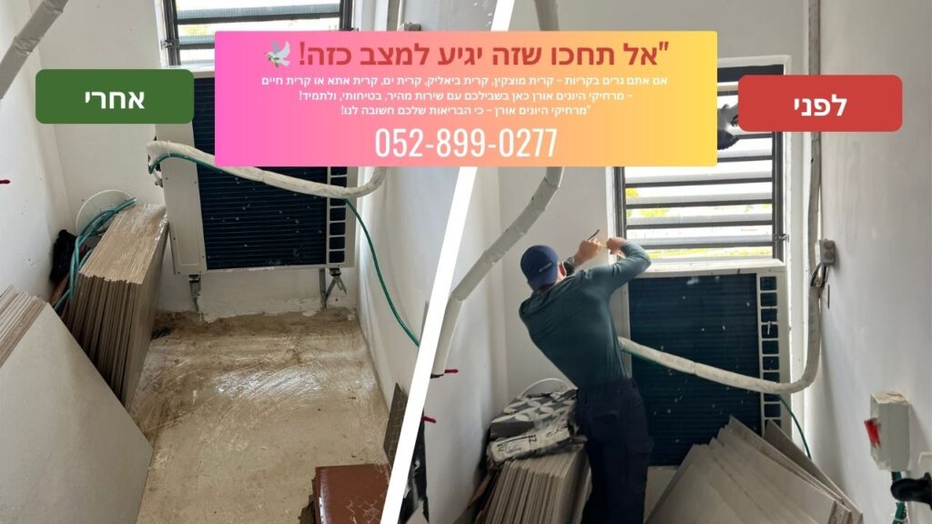 המדריך המקיף להרחקת יונים ממסתורי כביסה ומרפסות