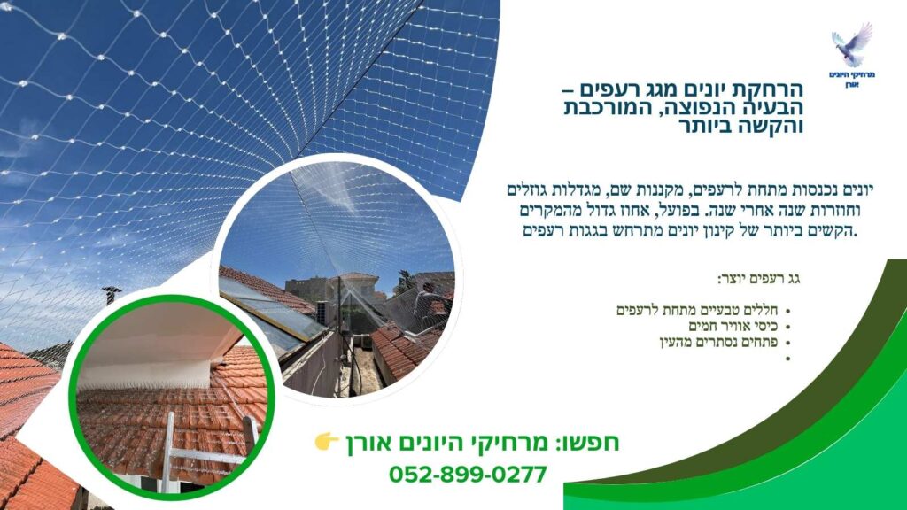 הרחקת יונים מגג רעפים