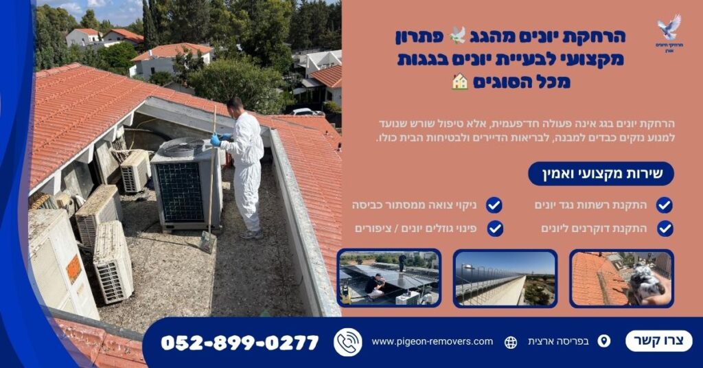 הרחקת יונים מהגג