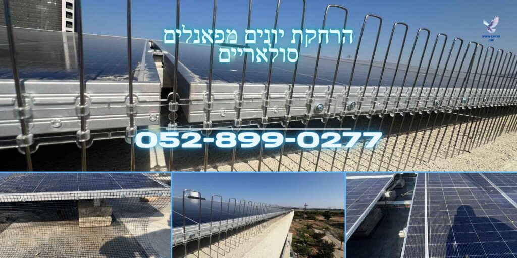 הרחקת יונים מפאנלים סולאריים