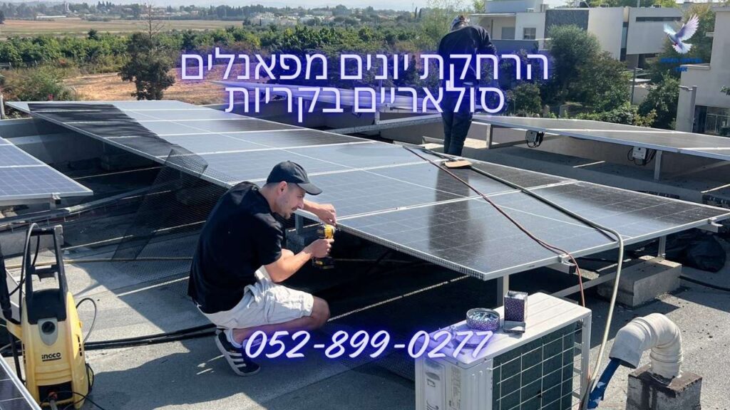 הרחקת יונים מפאנלים סולאריים בקריות