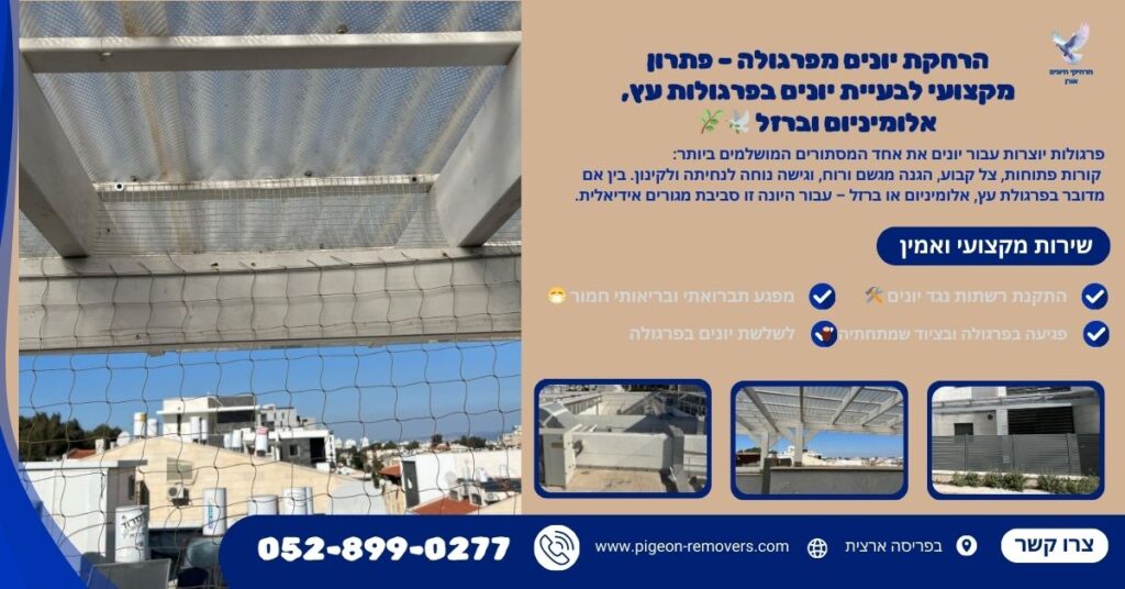 הרחקת יונים מפרגולה