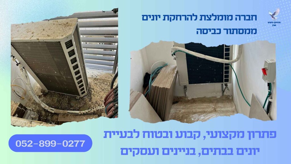 חברה מומלצת להרחקת יונים ממסתור כביסה
