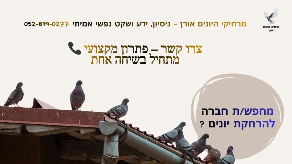מחפשת חברה להרחקת יונים