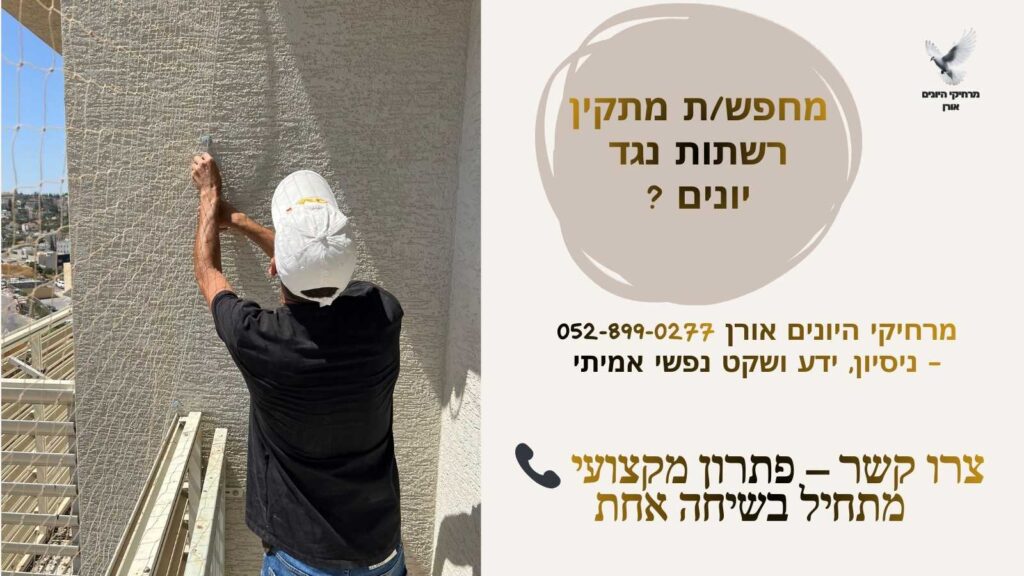 מחפשת מתקין רשתות נגד יונים