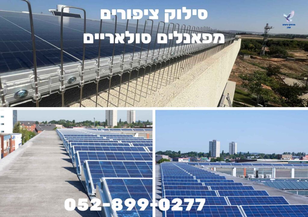 סילוק ציפורים מפאנלים סולאריים