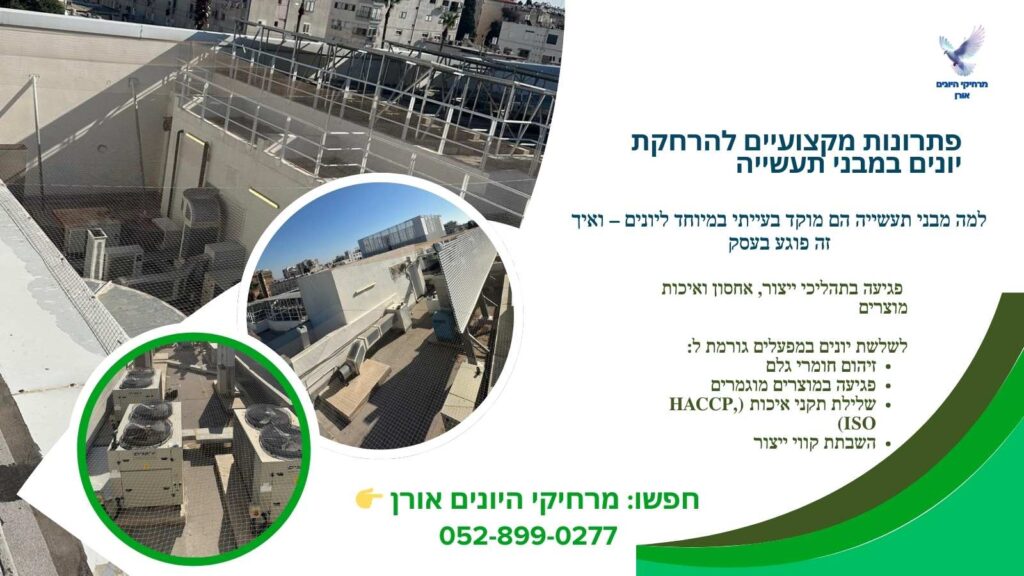 פתרונות מקצועיים להרחקת יונים במבני תעשייה