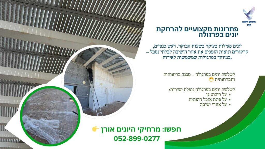 פתרונות מקצועיים להרחקת יונים בפרגולה