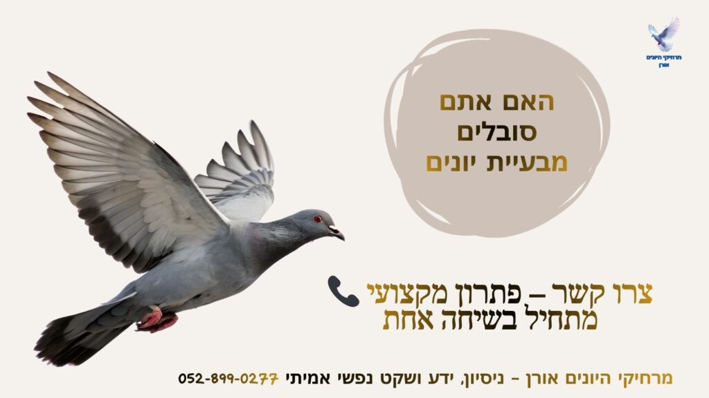 קריות הרחקת יונים