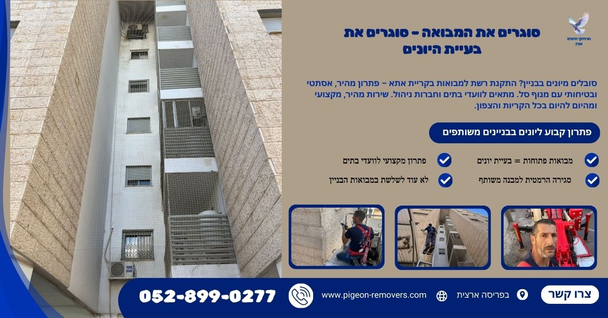 התקנת רשת נגד יונים בחלונות חדר מדרגות ובמבואת הבניין