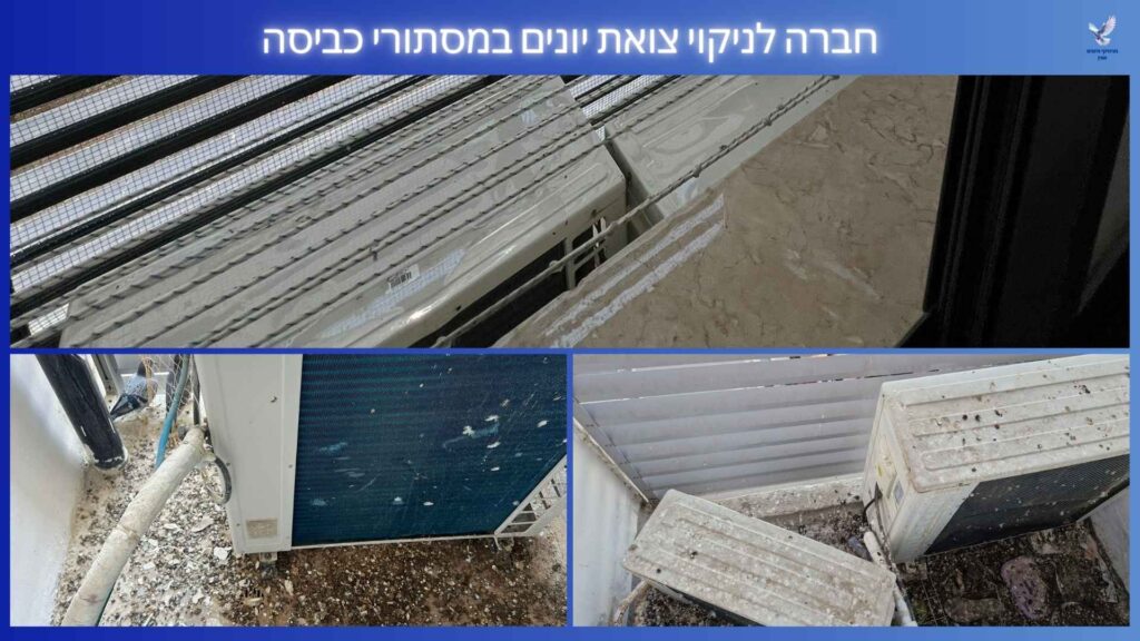 חברה לניקוי צואת יונים במסתורי כביסה