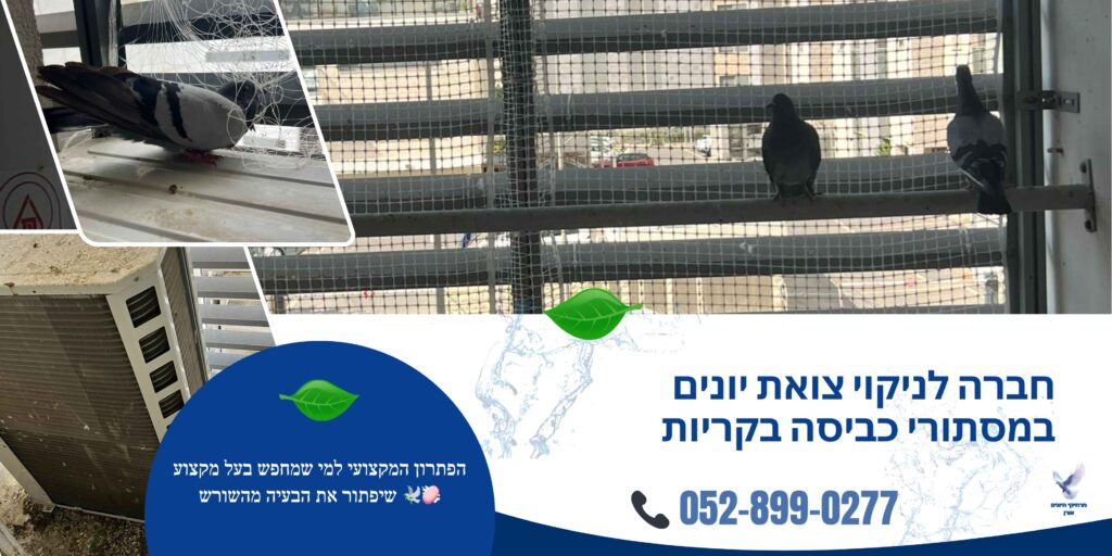 חברה לניקוי צואת יונים במסתורי כביסה בקריות