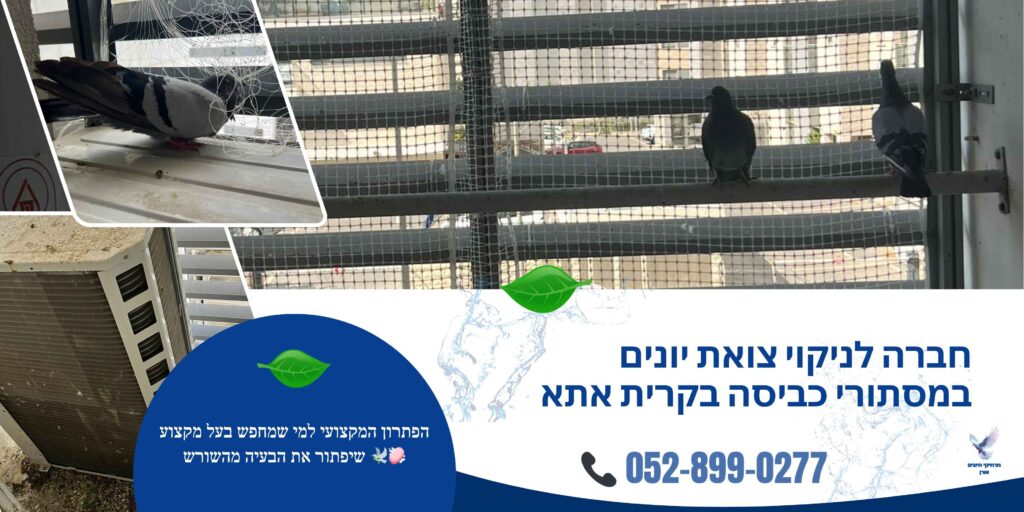 חברה לניקוי צואת יונים במסתורי כביסה בקרית אתא