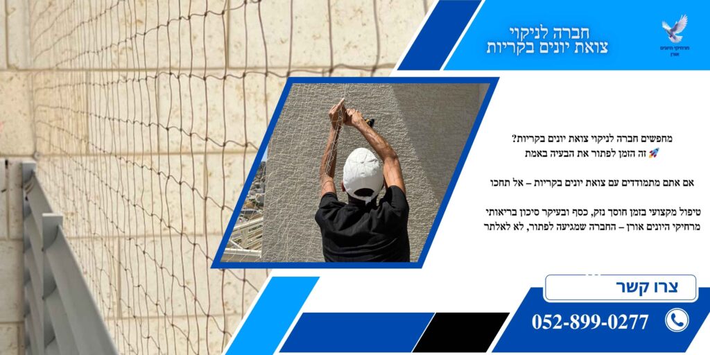 חברה לניקוי צואת יונים בקריות