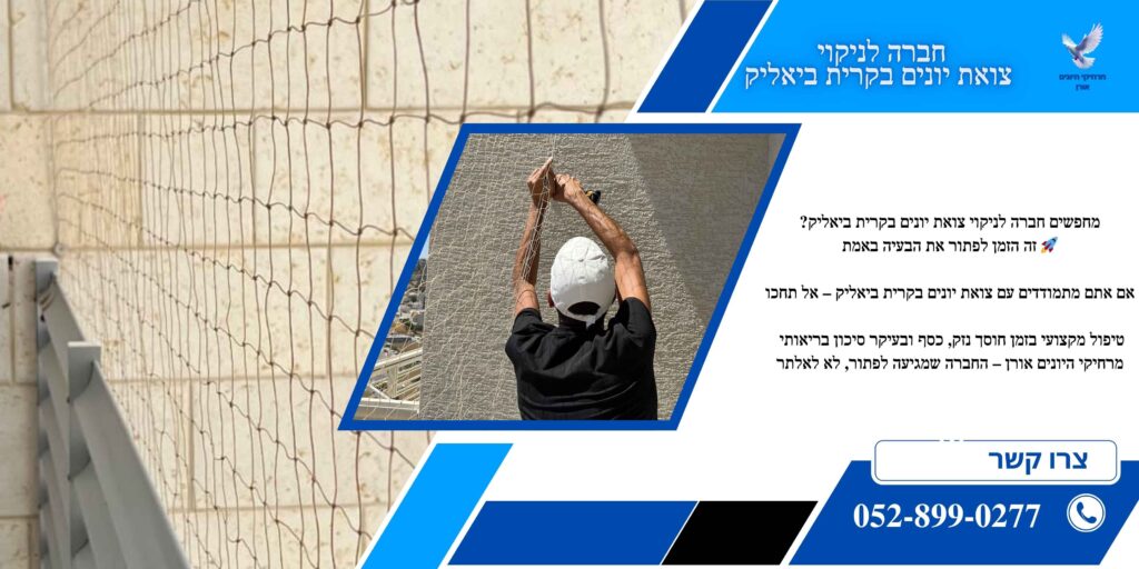 חברה לניקוי צואת יונים בקרית ביאליק