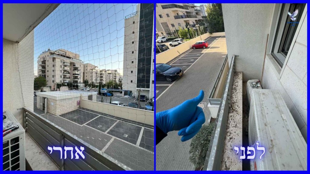 לפני ואחרי ניקוי לשלשת יונים במרפסת