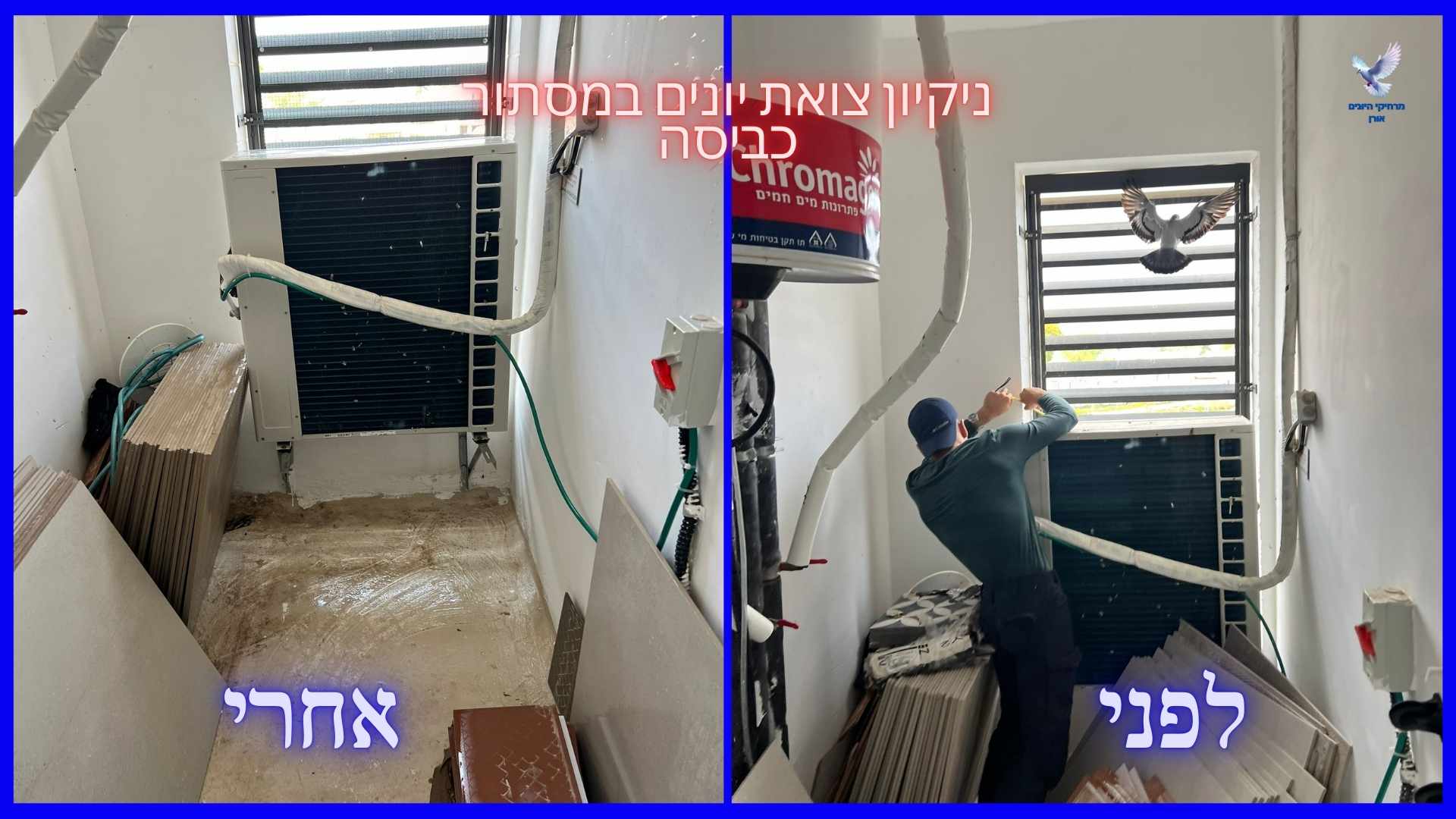 לפני ואחרי ניקוי צואת יונים במסתור כביסה