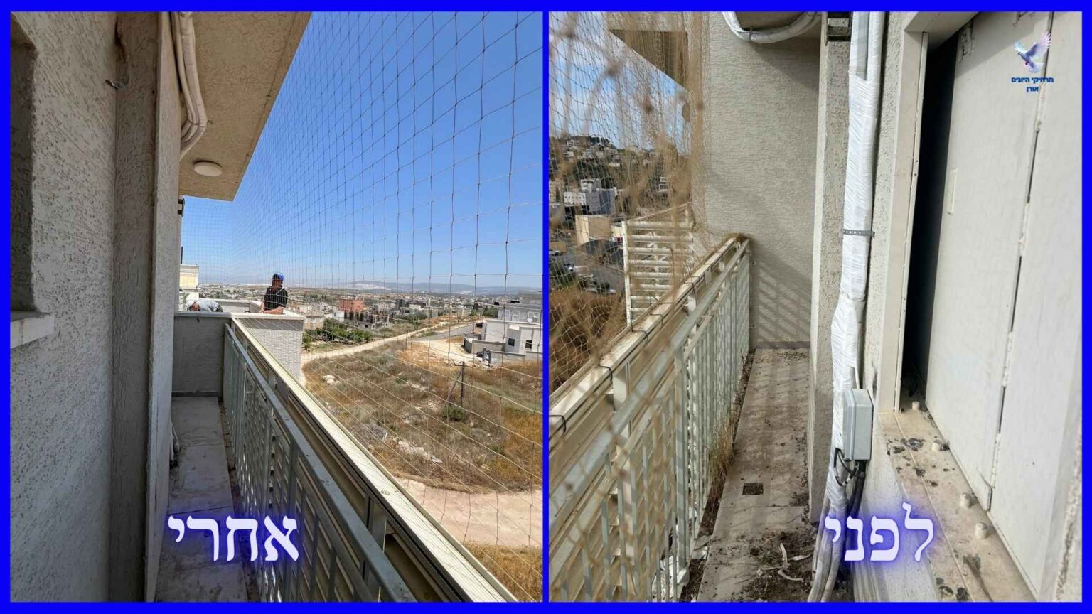 לפני ואחרי ניקוי צואת יונים במרפסת