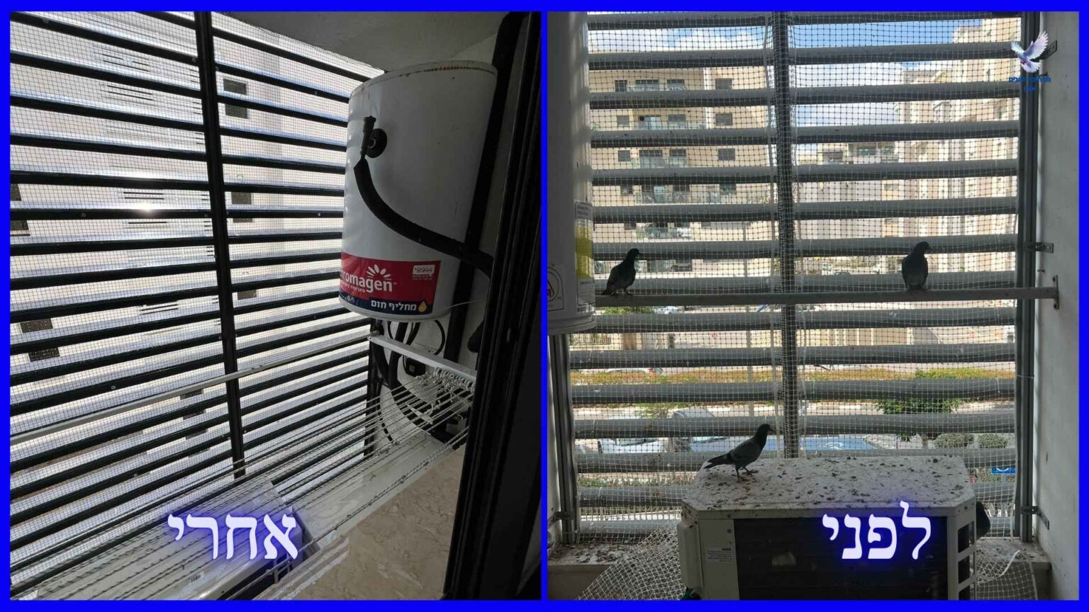 לפני ואחרי ניקיון לשלשת יונים למסתור כביסה