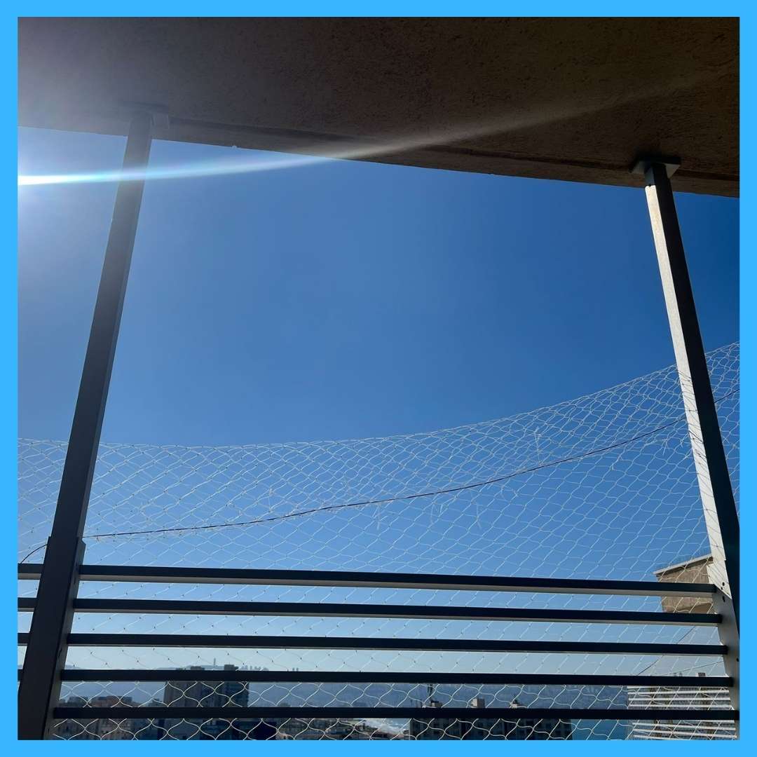 נגד יונים החלפת רשת שקופה