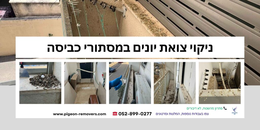 ניקוי צואת יונים במסתורי כביסה