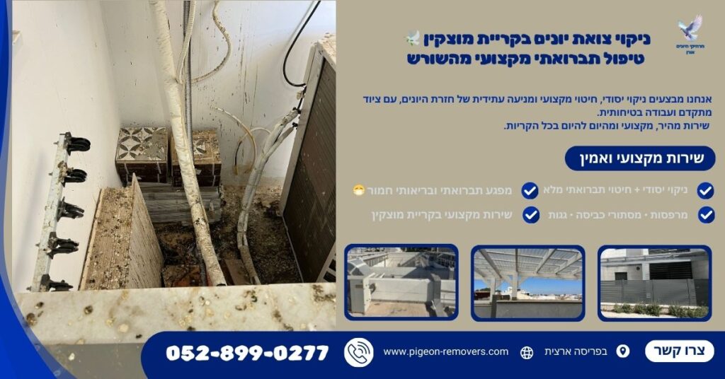 ניקוי צואת יונים בקריית מוצקין