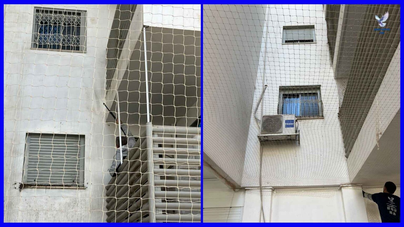 רשת יונים למבואות פתוחים