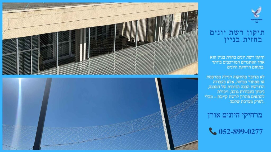 תיקון רשת יונים בחזית בניין