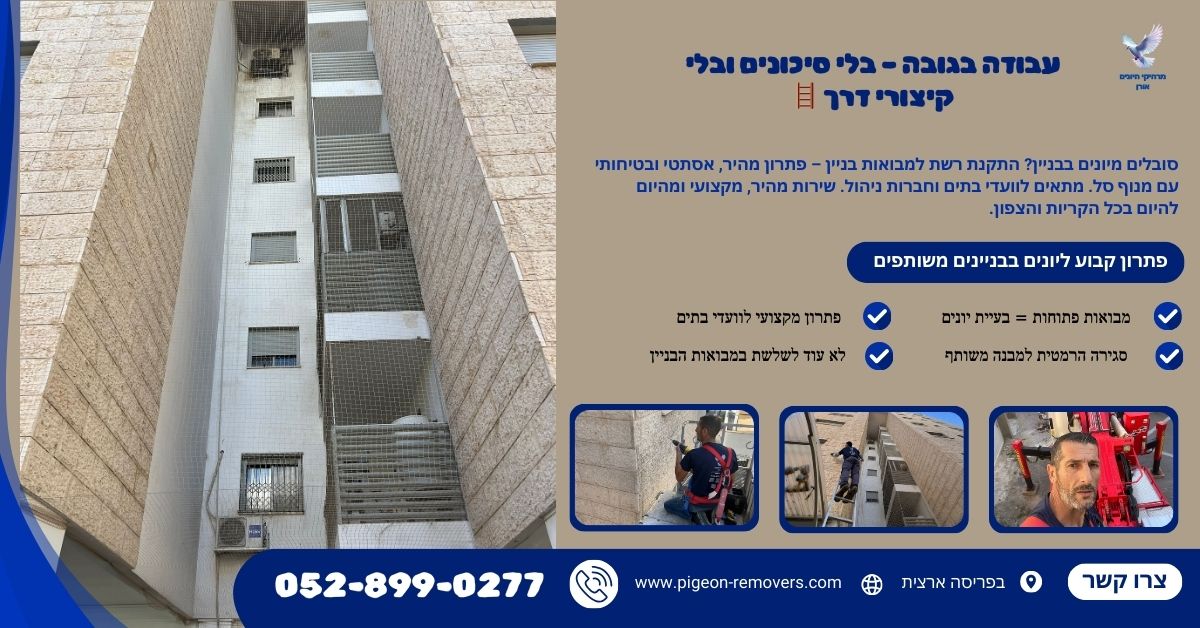 עבודה בגובה לפינוי קן יונים ולכידה בטוחה