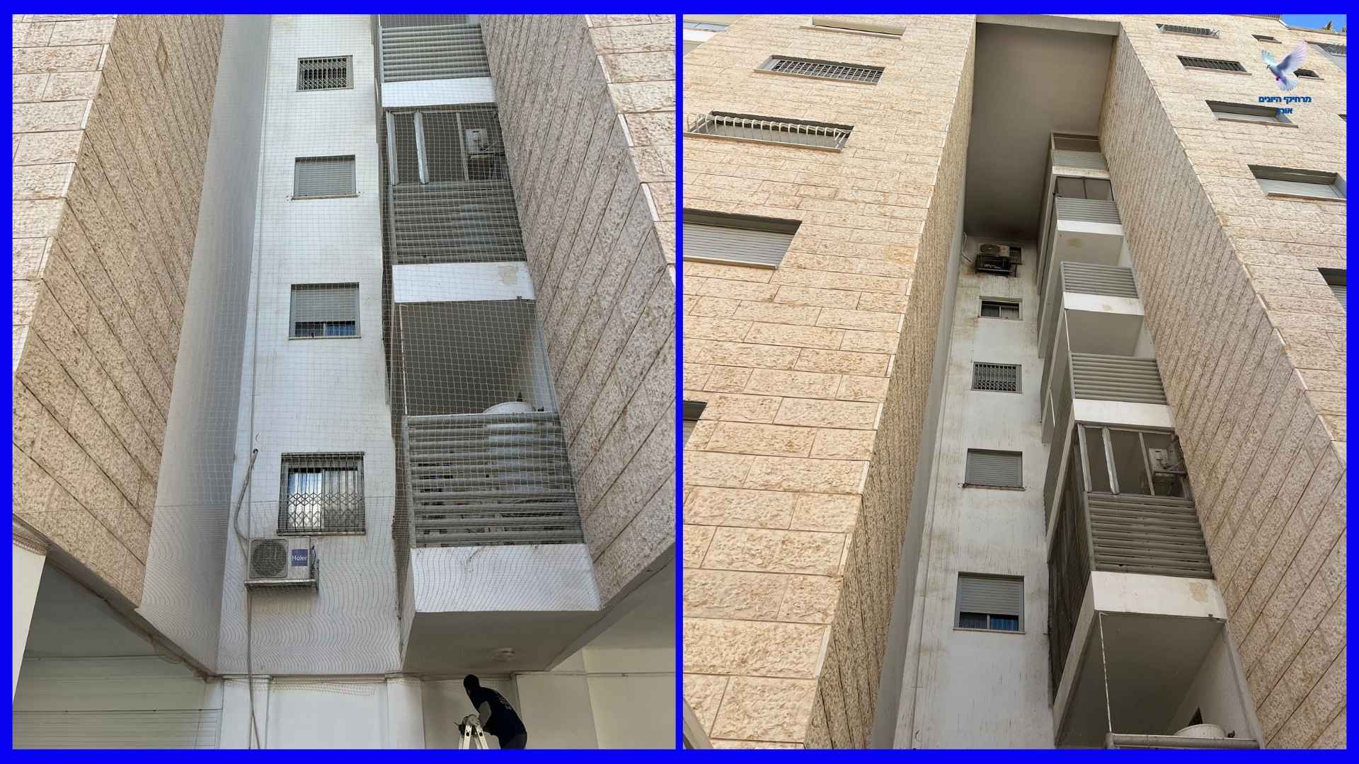 התקנת רשת נגד יונים לבניינים בירושלים התקנת רשת נגד יונים לבניינים בירושלים