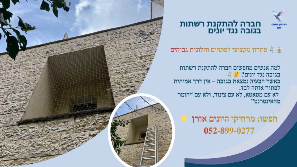 חברה להתקנת רשתות בגובה נגד יונים