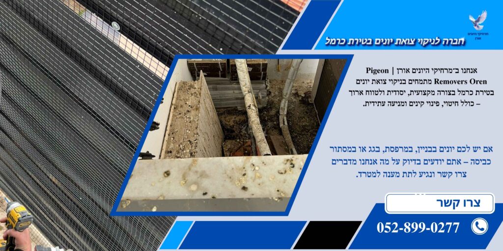 חברה לניקוי צואת יונים בטירת כרמל